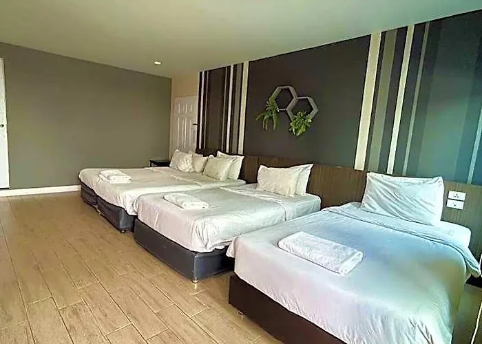 Paragon 4*